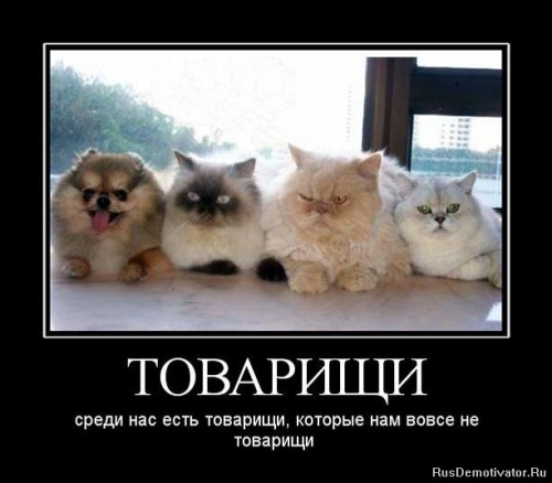 Которые нам не товарищи!